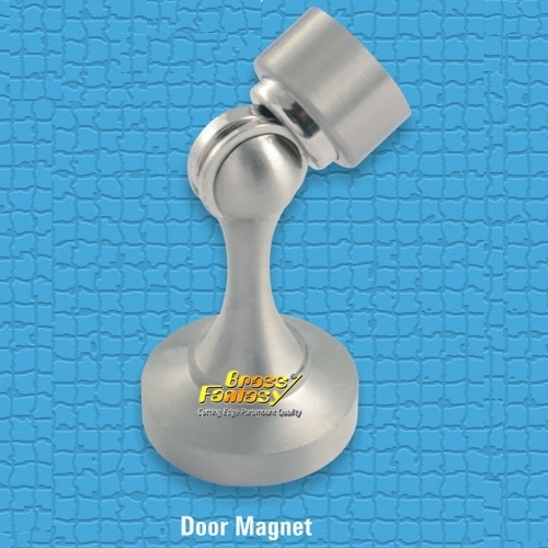 Silver Door Magnet