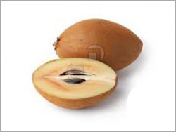 Sapodilla