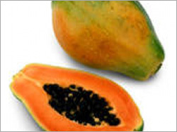 Papaya