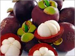 Mangosteen
