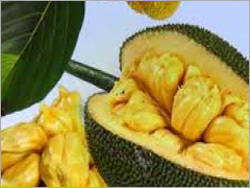 Jackfruit
