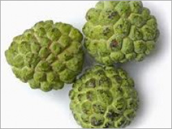 Annona