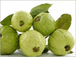 Guava