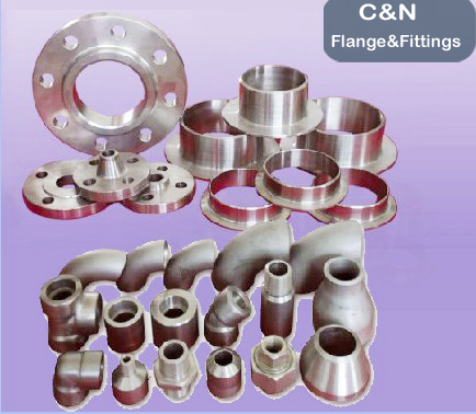 Steel Pipes Buttweld Fitting