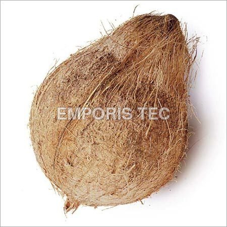 Whole Coconut