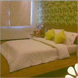 Multiplex Construction Services