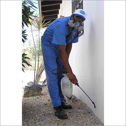 Pest Control Services MumbaiThane & New Mumbai