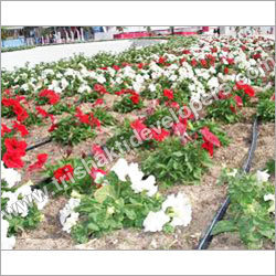 Floriculture