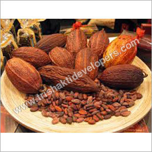 Cocoa Products