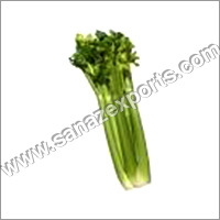 Fresh Celery