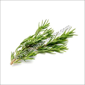 Rosemary Leaves