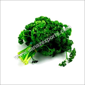 Parsley Leaves