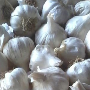 Pure Garlic Pure Garlic