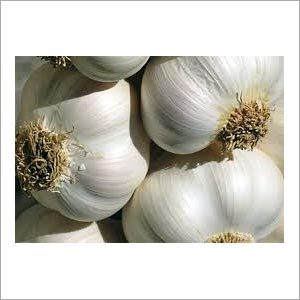 Dehydrated Garlic Dehydrated Garlic