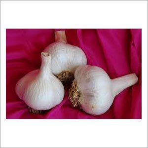 Dehydrated Garlic Flakes Dehydrated Garlic Flakes