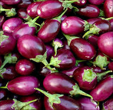 Farm Fresh Brinjal - 8-15cm Length, 3-6cm Diameter, Purple | Fresh, Nutritious, Clean, Various Sizes, Bulk/Net Packaging
