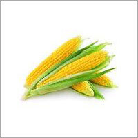 Organic Corn