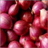 Small Onion