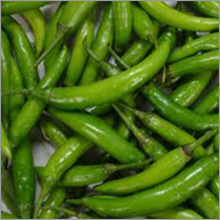 Green Chilli