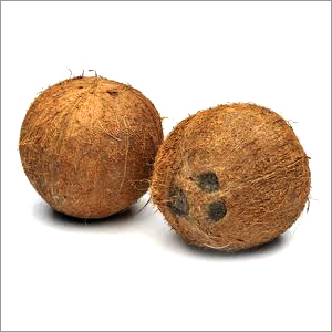 Coconut