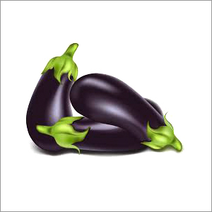 Brinjal