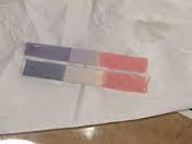 Litmus Paper - Paper 5x1 cm Multicolor | Accurate Results Easy Use 80 pH Strips for Testing 1-14 Range in Various Solutions