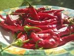 chilli