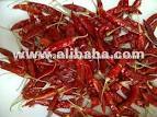 dired indian chilly