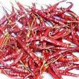 red dry chilli