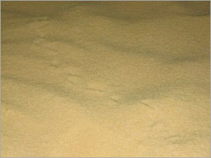 Payasam Rice