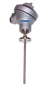 Flanged RTD