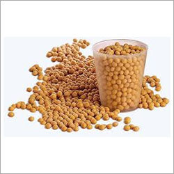 Soybean Seeds