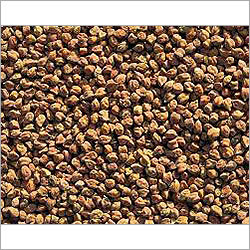 Black Chana
