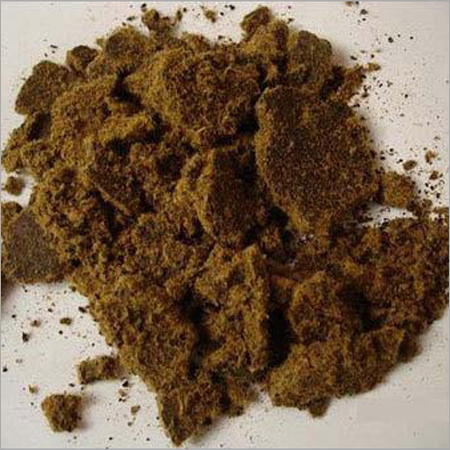 Cotton Seed Cotton Seed