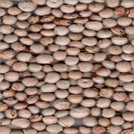Pegion Peas Pegion Peas