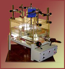 Student Organ Bath (Double Unit) 