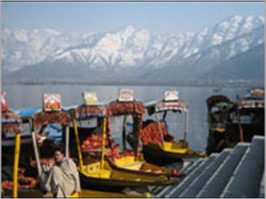 Kashmir Tours Services