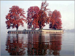 Kashmir Tour Packages Services