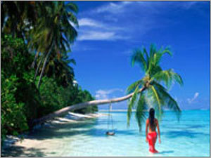 Maldives Tour Packages Services