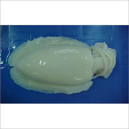 Cuttlefish Whole Cleaned