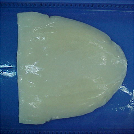 Caribbean Fish Fillet