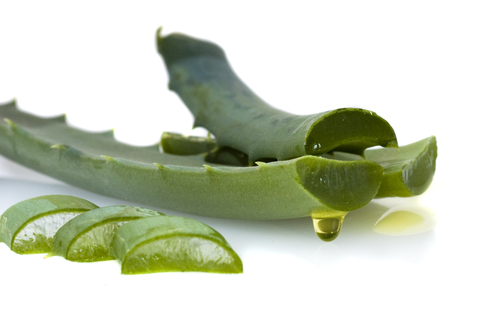 Aloe Vera