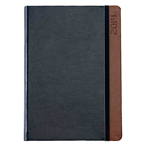 Fusion Tan Diary