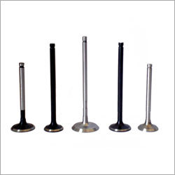 Industrial Engine Valve