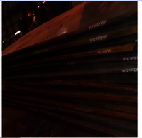 Steel Pm Plates - Coating Type: None
