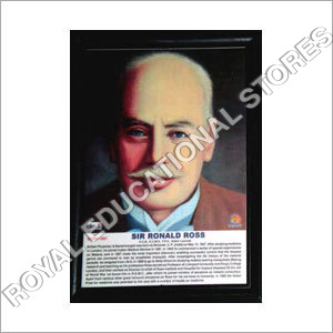 Mathematician Picture Frame
