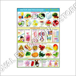 Food Nutrition Chart - Paper, Large Size, Multicolor | Authentic Information, Wall Mount, Educational Tool