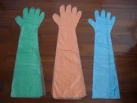 Veterinary Gloves