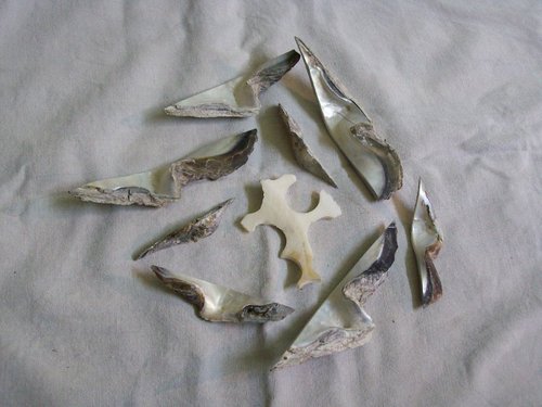MOP Shell Scrap