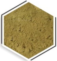 Moringa Fruit Powder - Nutrient-Rich A-Grade Superfood | Shadow Dried, 2-Year Shelf Life, High in Vitamins and Minerals